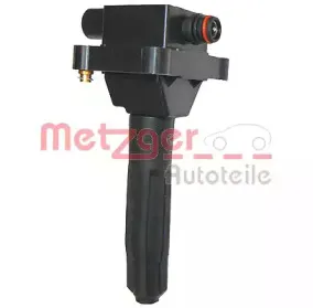 metzger-0880051